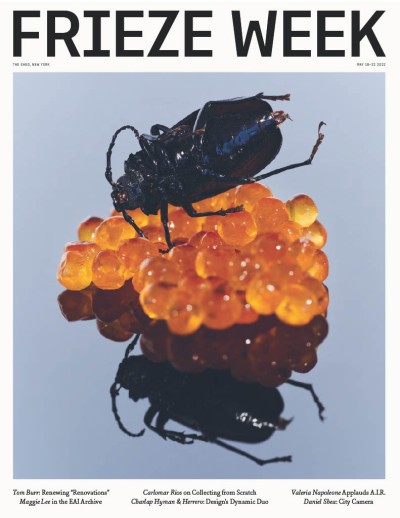 - 2022_5_13_frieze_cover.jpg