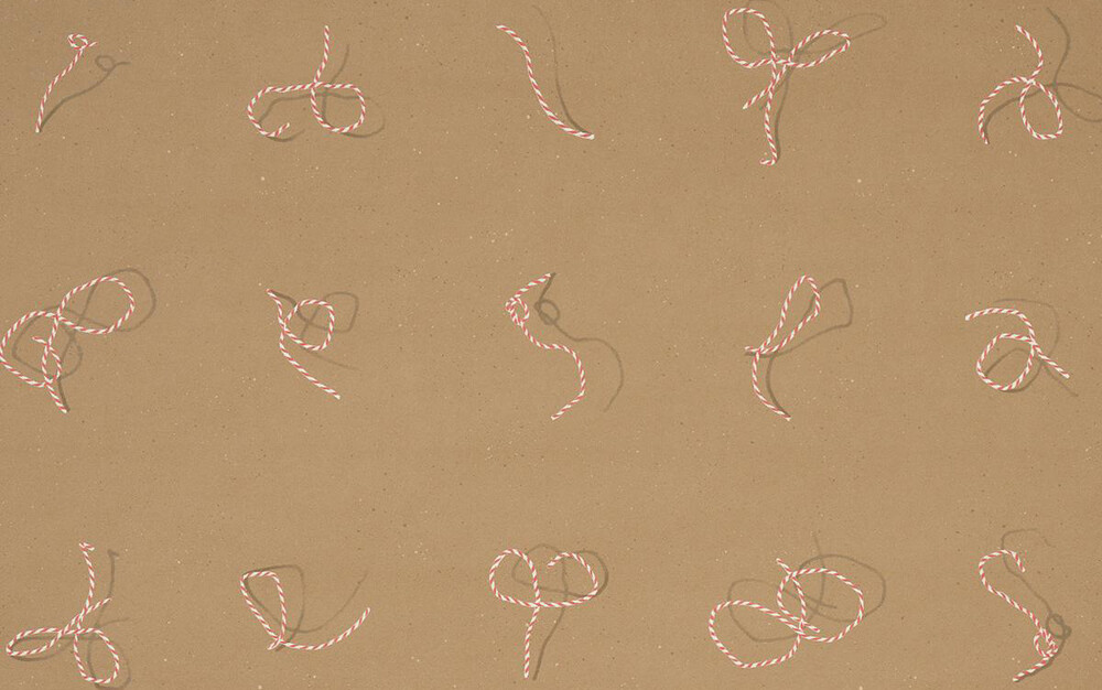 Charlap Hyman & Herrero | Butcher String in Red & White on Brown
